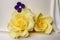 Yellow and purple icing flowers