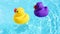 A yellow and purple rubber duck swim into the picture from below