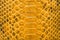 Yellow python leather, skin texture for background.