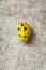 yellow quail egg on fur surface . top view flat lay . Minimal nature background.