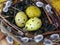 Yellow quail eggs in a small nest