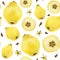 Yellow quince fruits seamless pattern