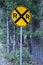 Yellow railroad crossing sign with pine tree background