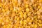 Yellow raisins background pattern