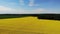 yellow rapeseed flower field sunny day with blue sky, sping time, shot from drone aerial