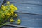 Yellow rapeseed flowers collected in a bunch or bouquet on wooden background. Wildflowers are arranged neatly on the