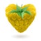 Yellow raspberry heart.