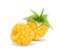 Yellow raspberry on white background. Quality realistic vector, 3d