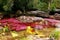 Yellow and red colors of the Canio Cristales river, the most beautiful river in the world