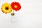 Yellow and red gerbera in vase on white wooden table. Daisy flower in vase.