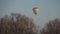 Yellow-red hot air balloon flying over trees