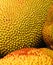 Yellow and red jackfruit skin study