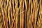 Yellow Reed Sticks