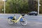 Yellow rental bike stands near the road