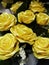 Yellow ribbon roses.  Yellow ribbons folding into roses.