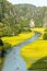 Yellow rice field on Ngo Dong river in Tam Coc Bich Dong from mountain top view in Ninh Binh, Viet Nam