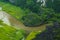 Yellow rice field on Ngo river in Tam Coc Bich from mountain top view in Ninh Binh