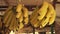 Yellow ripe bananas hung in a stall
