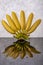 Yellow, ripe mini bananas with reflection on gray background