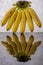 Yellow, ripe mini bananas with reflection on gray background