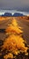 Yellow Road Of Leaves And Cactus: Photobashing And Realistic Depictions