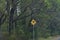 Yellow road sign with kangaroo silhouette. Road trip in Australia