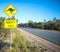 Yellow Road Sign, Kangaroos Ahead.