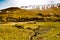 Yellow rock formations of the Table lands. Gros Morne National Park Newfoundland Canada