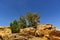 Yellow rocks in the desert with small crooked bushes growing on top of them in front of the blue sky