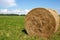 Yellow roll of dry hay on a green meadow.Summer cloudy weather