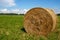 Yellow roll of dry hay on a green meadow.Summer cloudy weather. space for your text