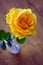 Yellow romantic Rose in White ceramic vase