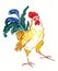 Yellow rooster with green tail
