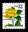 Yellow Rose, Flora and Fauna Issue serie, circa 1996