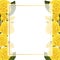 Yellow Rose Flower Frame Banner Card Border. isolated on White Background. Vector Illustration