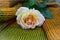 Yellow rose on a knitted sweater, close - up-the concept of parting with a loved one