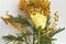 Yellow Rose with Mimosa on a White Background.