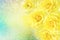 Yellow roses flower soft romance background with beautiful glitter
