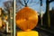 Yellow round shape street signal lights unique photo