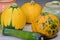 Yellow round speckled pumpkins with raw seasonal vegetables and ceramic pots