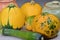 Yellow round speckled pumpkins with raw seasonal vegetables and ceramic pots