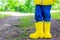 Yellow rubber boots on the child`s feet . Shoes for wet weather. Children`s shoes. Ads for rubber boots