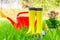 Yellow rubber boots, red watering can and tools for planting flowers on a green lawn