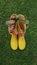 Yellow rubber boots with wreath of orange roses on a green grass