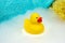 Yellow rubber duck with bath foam