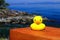 Yellow Rubber Duck on Bench at Boat Pass, Gulf Islands National Park, Saturna, British Columbia, Canada