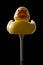 yellow rubber duck on black background, sitting on golf tee, front view