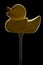 yellow rubber duck on black background, sitting on golf tee, side view with rim lighting