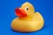 Yellow rubber duck on blue background