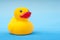 Yellow rubber duck on blue background water